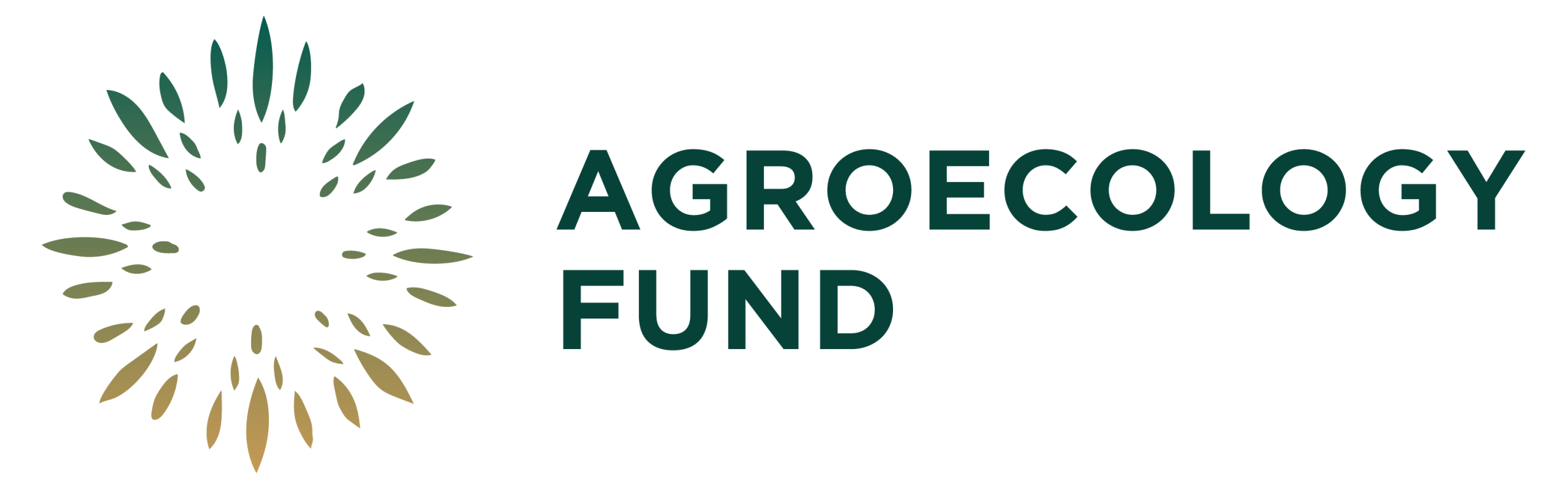 AEF_Logo_size2